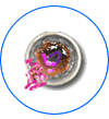 L�gionellose